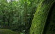 North Queensland Wildscapes Phototours - thumb 4