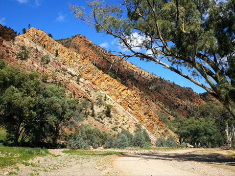 Aussie Heritage Tours - Accommodation QLD 2
