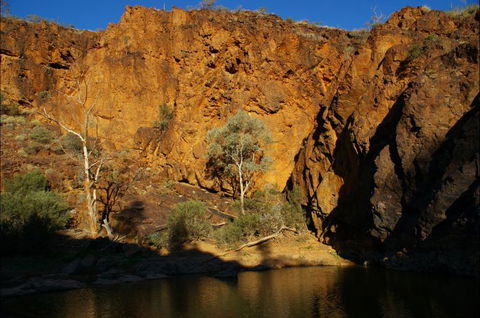 Aussie Heritage Tours - Accommodation QLD 6