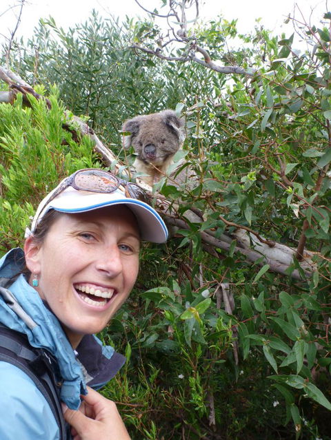 Auswalk Walking Holidays - Accommodation QLD 6