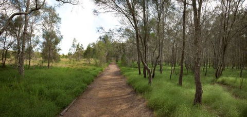 Billai Dhagun Circuit (Place Of She-Oaks) - Accommodation QLD 0