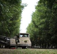 ODempseys Charters and Tours - Accommodation QLD