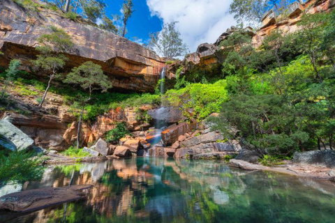 Dig The Tropic Four Day Drive - Accommodation QLD 2