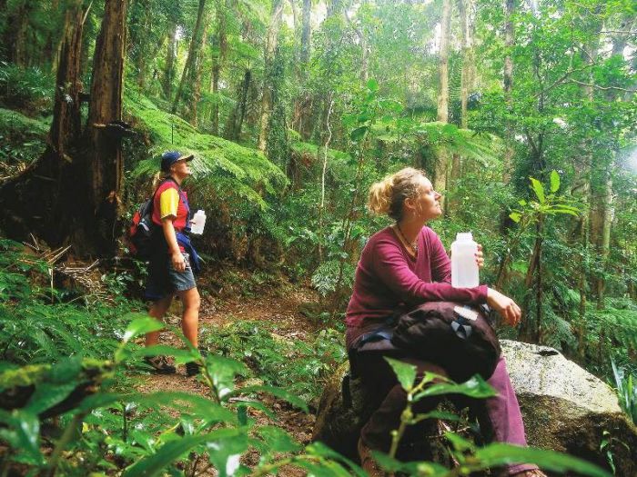  Accommodation QLD