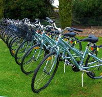Barossa Bike  - Accommodation QLD