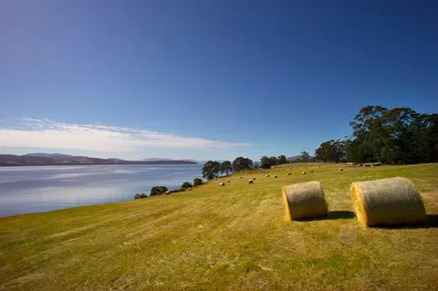 Coast House Tasmania - Accommodation QLD 4