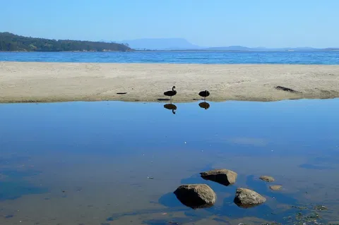 Coast House Tasmania - Accommodation QLD 6