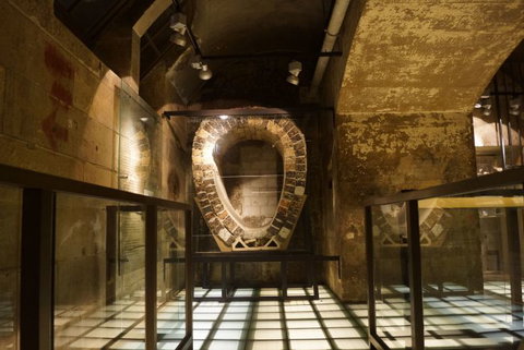 Go Local Tours - Accommodation QLD 12