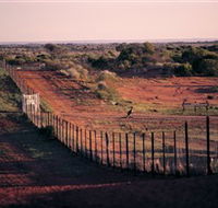 Tri State Safaris - Accommodation QLD