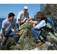 Sapphire Coast Ecotours - Accommodation QLD