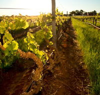 Kaesler Old Vine Vineyard Tour - Accommodation QLD