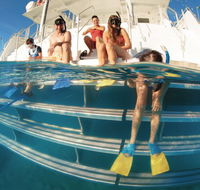 Australian Sunset Safaris - Accommodation QLD