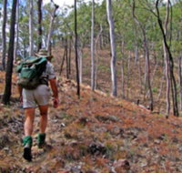 Shepherd's Peak Trail - Accommodation QLD