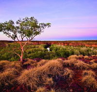 Island Stack Boodjamulla Lawn Hill National Park - Accommodation QLD