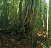 Tullawallal circuit - Accommodation QLD