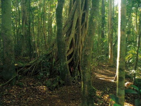 Tullawallal Circuit - Accommodation QLD 0