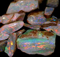 Arid Areas Tours - Accommodation QLD