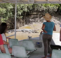 Whitsunday Crocodile Safari - Accommodation QLD