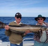 Reel Time Charters Yamba - Accommodation QLD