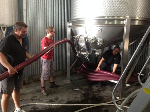 La Prova Wines - Accommodation QLD 2