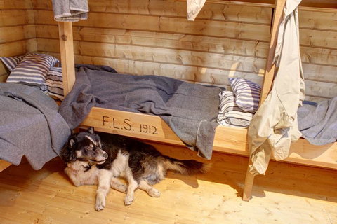 Mawson's Huts Replica Museum - Accommodation QLD 7