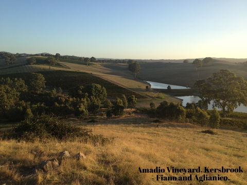 Scott & La Prova - Accommodation QLD 1