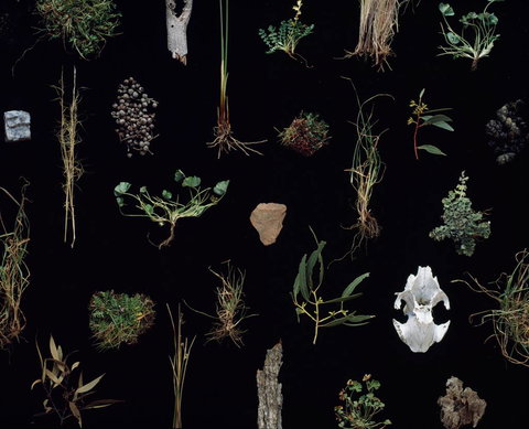 Weswal Gallery - Accommodation QLD 0