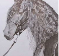 Great Lakes Art Society - Accommodation QLD