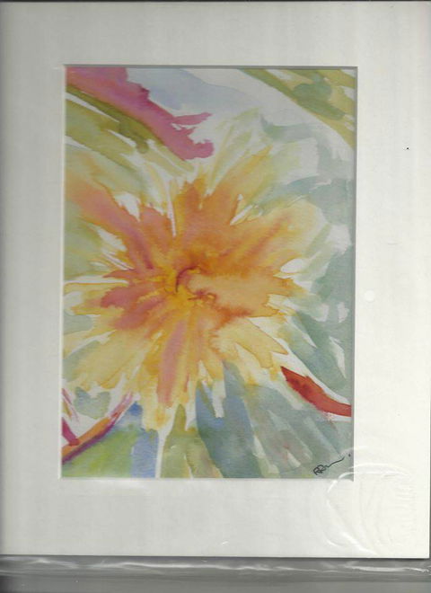 Bundaberg Arts Festival Association Inc - Accommodation QLD 2