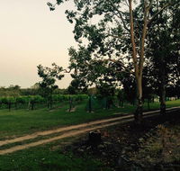 Brierley Wines - Accommodation QLD