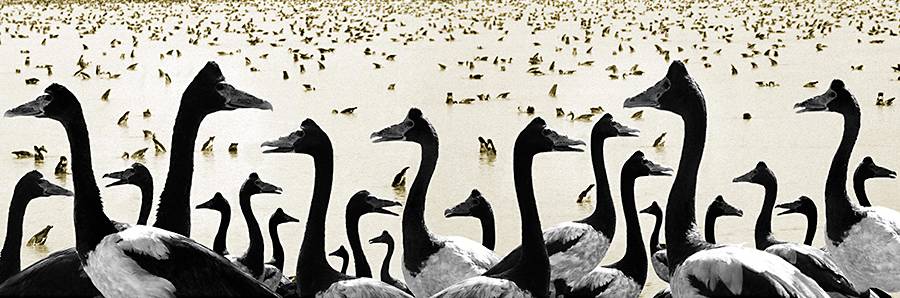 Coconut Grove NT Accommodation QLD