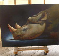 Art on Pallas - Accommodation QLD