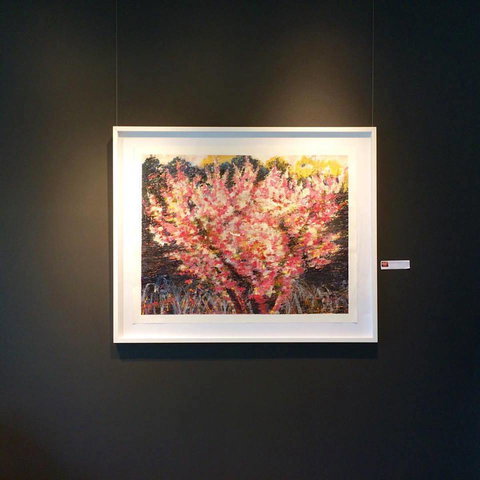 Gallery One - Accommodation QLD 1