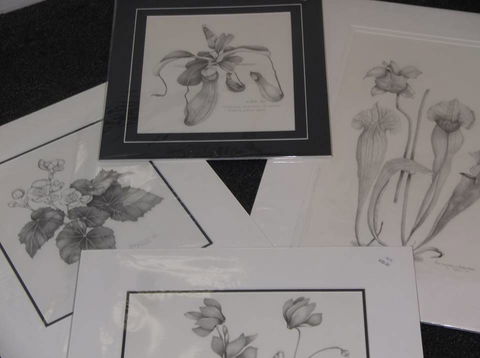 Masterpiece Framing & Gallery - Accommodation QLD 2