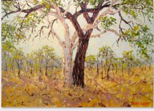 Peter Lawson Fine Art - Accommodation QLD 1