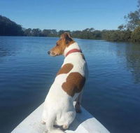 Australis Canoes  Kayaks - Accommodation QLD
