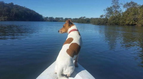 Australis Canoes & Kayaks - Accommodation QLD 0