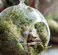 Moxom and Whitney - Accommodation QLD