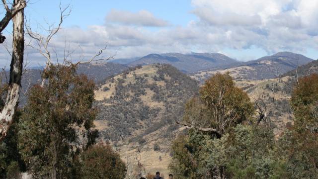 Paddys River NSW Accommodation QLD