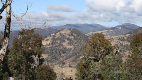 Mt Tennent - Accommodation QLD 0