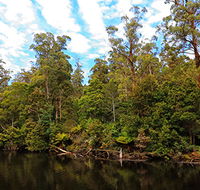 A R Reflections River Cruises - Accommodation QLD