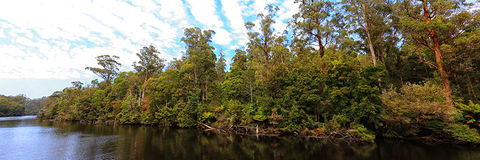 A R Reflections River Cruises - Accommodation QLD 0