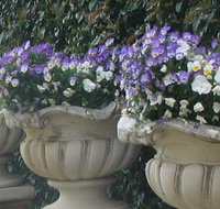 Gardenalia Open Garden and Rare Plant Nursery - Accommodation QLD