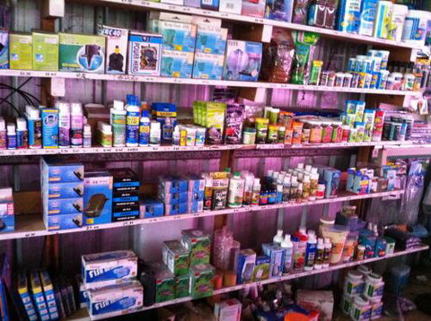 Hurley’s Aquariums - Accommodation QLD 1