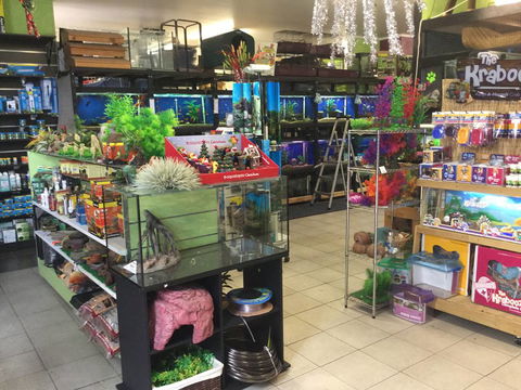 Pets Wonderland - Accommodation QLD 2
