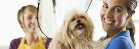 Port Stephens Pet Barn - Accommodation QLD 1