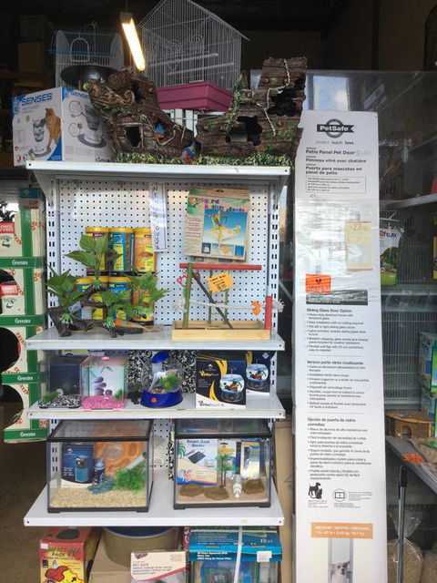 Port Stephens Pet Barn - Accommodation QLD 2