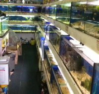 Clearwater Aquariums - Accommodation QLD