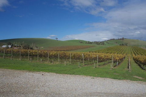 Wine Compass - Accommodation QLD 1