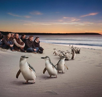 Down Under Thrills - Accommodation QLD